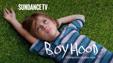 Boyhood. Momentos de una vida