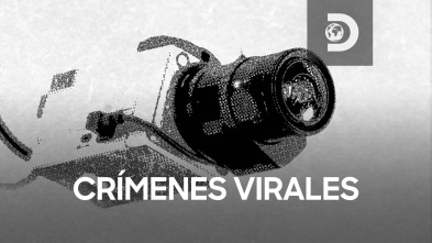 Imagen de Crímenes virales  - 2