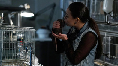 Imagen de Pequeñas mentirosas (T6): Ep.6 Remoendo cielo y tierra - 2