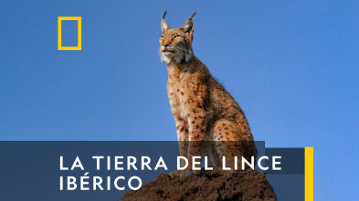 La tierra del lince ibérico 