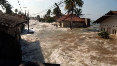Imagen de Tsunami: La carrera...: Noticias de última hora - 1