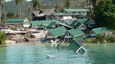 Imagen de Tsunami: La carrera...: Rescate - 1