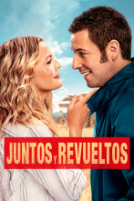 Imagen de Juntos y revueltos - 1