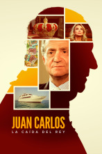 Juan Carlos: La caída...: Dinero sucio