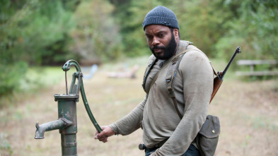 Imagen de The Walking Dead (T4): Ep.14 La arboleda - 2