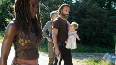 The Walking Dead (T5)