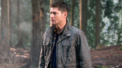 Supernatural (T10): Ep.19 The Werther Project