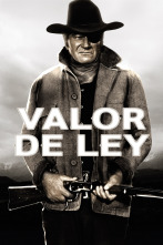 Imagen de Valor de ley - 1