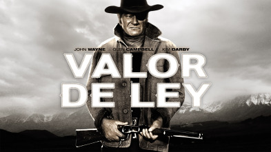 Imagen de Valor de ley - 2