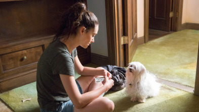 Imagen de Shameless (T8): Ep.6 Ícaro cayó y Rusty se lo comió - 2