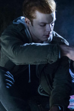 Imagen de Shameless (T7): Ep.11 Felices para siempre - 1