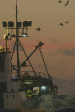 Imagen de Pesca radical: Marejada ciclónica - 1