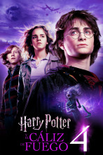 Imagen de Harry Potter y el cáliz de fuego - 1