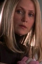 Imagen de The O.C. (T3): Ep.19 The Secrets and Lies - 1