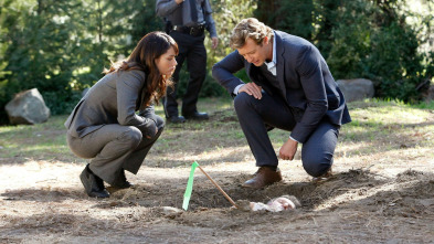 Imagen de El mentalista (T4): Ep.18 Mejillas sonrosadas - 2