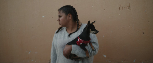 Imagen de Colombia: la paz secuestrada - 9