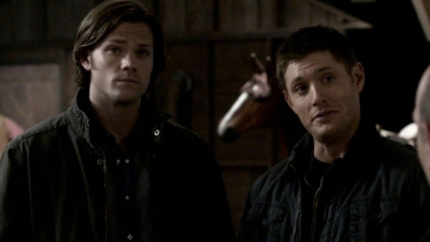 Supernatural (T5): Ep.5 Fallen Idols