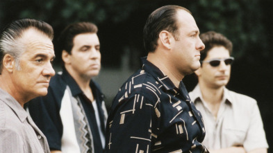 Imagen de Los Soprano (T1) - 2
