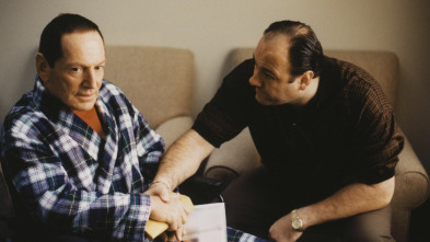 Imagen de Los Soprano (T2): Ep.10 Dejar sin blanca - 2