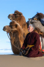 Aventura en camello con Gordon Buchanan