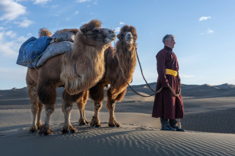 Aventura en camello con Gordon Buchanan