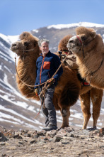 Aventura en camello con Gordon Buchanan