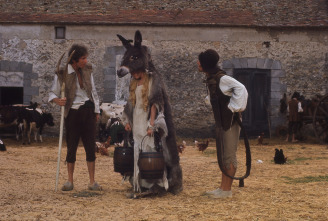 Imagen de Piel de asno - 6