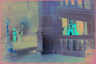 Imagen de Piel de asno - 7