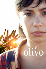 Imagen de El olivo - 1
