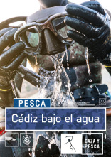 Imagen de Cádiz bajo el agua - 1