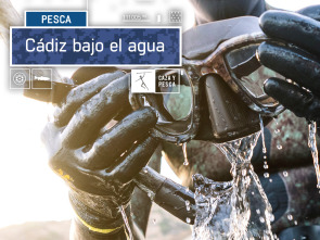Imagen de Cádiz bajo el agua - 2
