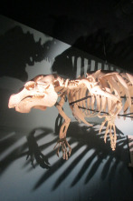 Imagen de Misterios en el museo: Desastre en un rascacielos y otros misterios - 1