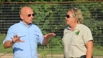 Imagen de Hotel imposible (T1): Leones, tigres y avispas - 2