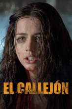 Imagen de El callejón - 1