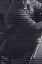 Imagen de Crímenes virales: Sin miedo - 1