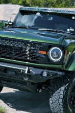 Imagen de Texas Metal (T7): Bronco Sasquatch personalizado - 1