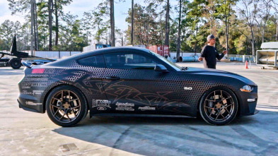 Imagen de Texas Metal (T7): Mustang para su información - 2