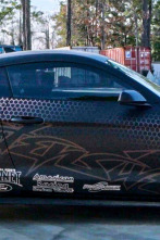 Imagen de Texas Metal (T7): Mustang para su información - 1