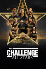 Imagen de The Challenge: All Stars (T4) - 1