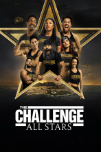 The Challenge: All Stars (T4)