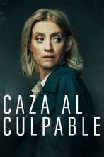 Imagen de Caza al culpable (T2) - 1