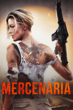 Imagen de Mercenaria - 1