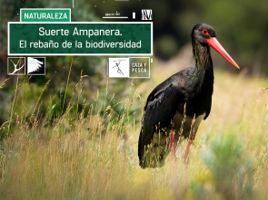 Imagen de Suerte Ampanera, rebaño de biodiversidad - 2