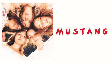 Imagen de Mustang - 2