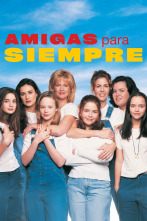 Imagen de Amigas para siempre - 1