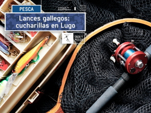 Imagen de Lances gallegos: cucharillas en Lugo - 2