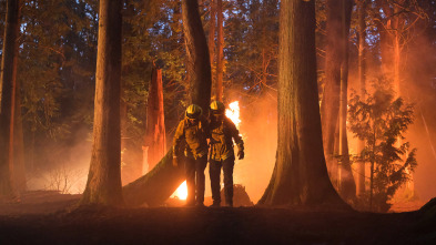 Imagen de Fire Country (T1): Ep.1 Pilot - 1