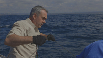Imagen de Los últimos gigantes (T4): Ep.1 - 4