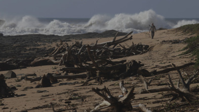 Imagen de Los últimos gigantes (T4): Ep.2 - 4