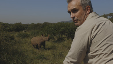 Imagen de Los últimos gigantes (T4): Ep.4 - 4